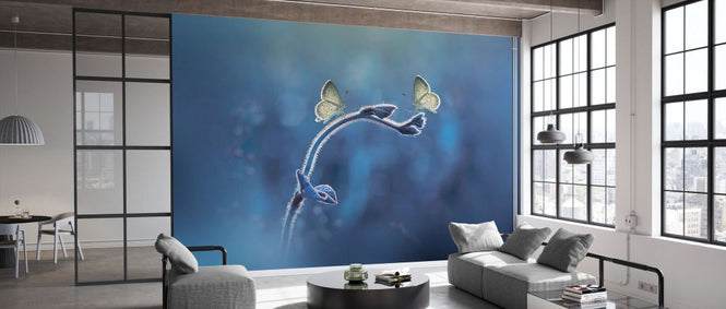 PHOTOWALL / Two Butterflies Meet Each Other (e331958)
