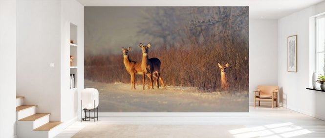 PHOTOWALL / Three Deer (e331961)