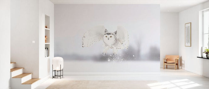 PHOTOWALL / Snowy Owl Taking Flight (e331966)