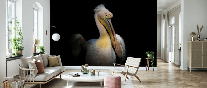 PHOTOWALL / Pelican (e331973)