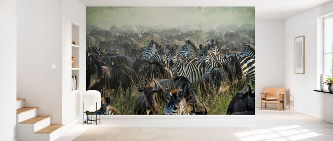 PHOTOWALL / Great Migration (e331981)