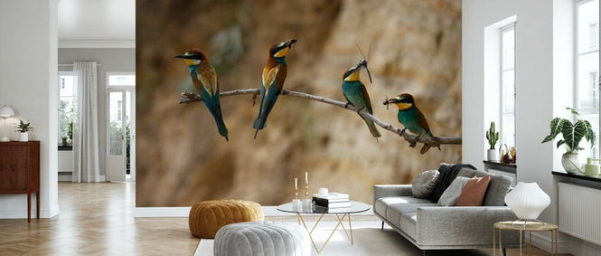 PHOTOWALL / Four European Bee Eaters (e332027)