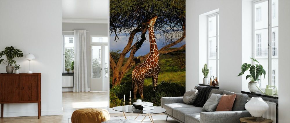 Zoom