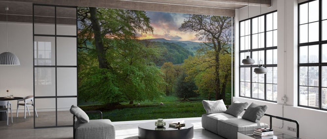 PHOTOWALL / Deciduous Woodland in Spring at Dawn (e332083)