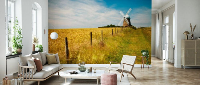 PHOTOWALL / Field of Wheat with Halnaker Windmill (e331914)