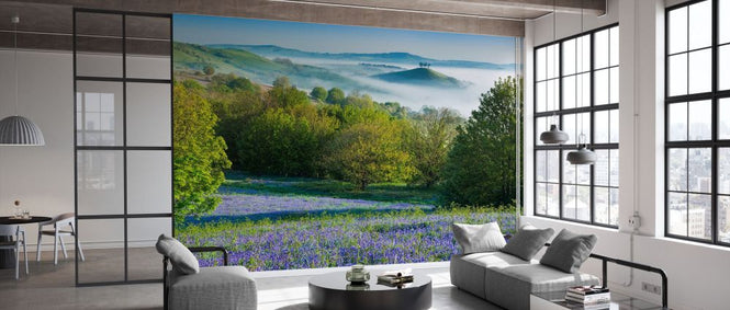 PHOTOWALL / Bluebell in Colmers Hill (e331925)