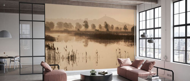PHOTOWALL / Glastonbury Tor Over Reedbeds (e331936)