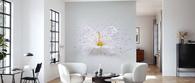 PHOTOWALL / Blooming Flower (e332181)