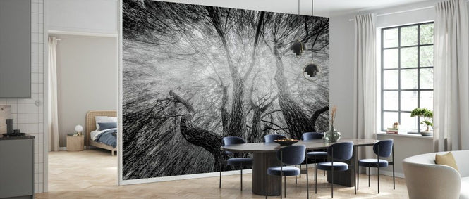 PHOTOWALL / Black and White Tree (e332195)