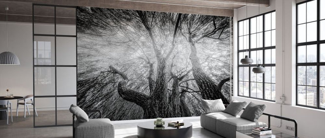 PHOTOWALL / Black and White Tree (e332195)