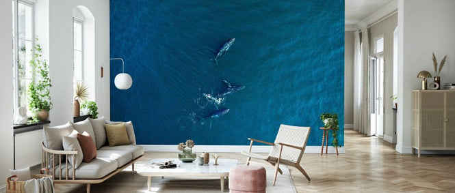 PHOTOWALL / Arabian Humpback Whale (e332206)