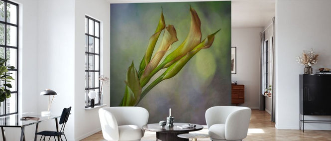 PHOTOWALL / Calla Lily (e332211)