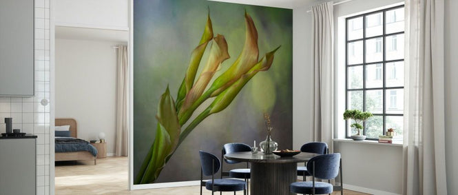 PHOTOWALL / Calla Lily (e332211)