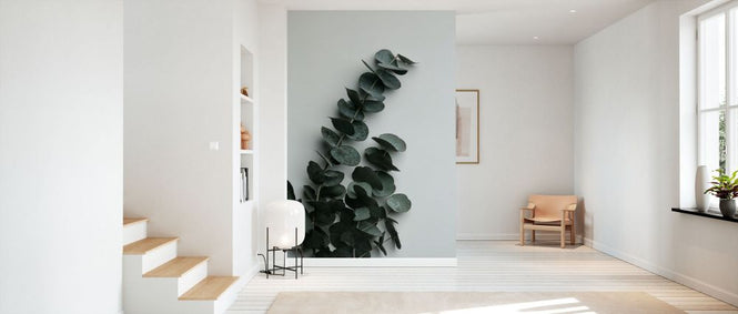 PHOTOWALL / Eucalyptus Wall (e332239)