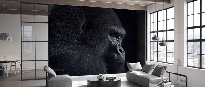 PHOTOWALL / Gorilla Gaze (e332394)