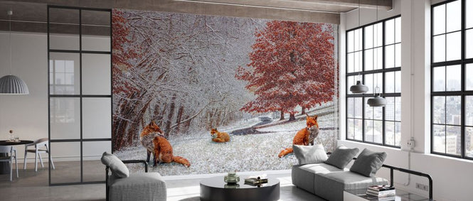 PHOTOWALL / Foxes in Winter White and Red (e332505)
