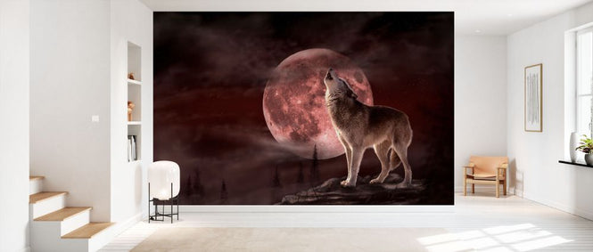 PHOTOWALL / Wolf Moon (e332550)