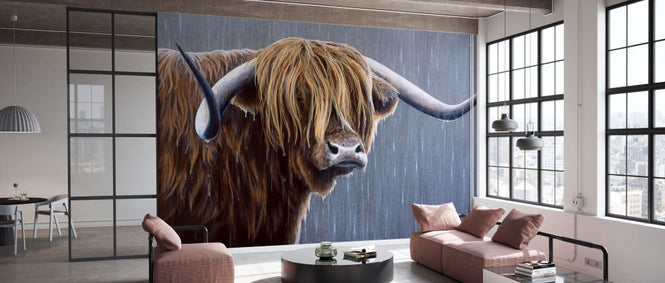 PHOTOWALL / Highland Bull Rainy Day (e332569)