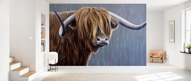 PHOTOWALL / Highland Bull Rainy Day (e332569)