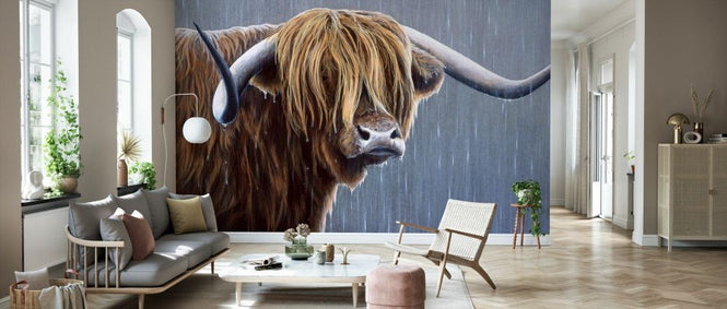 PHOTOWALL / Highland Bull Rainy Day (e332569)