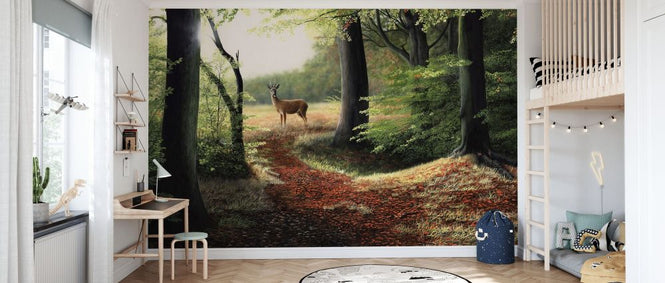 PHOTOWALL / Roe Deer (e332600)