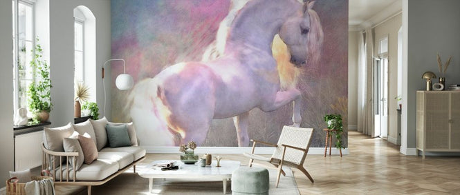 PHOTOWALL / Evenglow (e333243)
