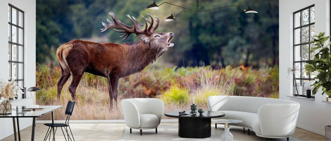 PHOTOWALL / Scream of the Deer (e333708)