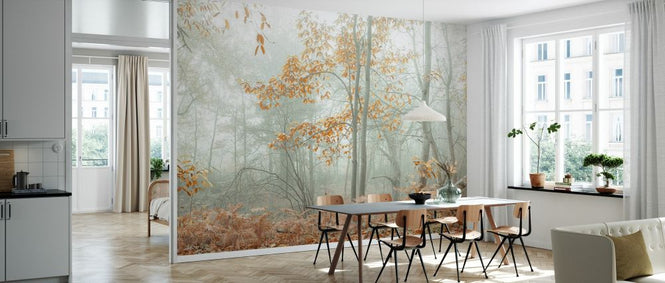 PHOTOWALL / Autumn Trees in the Mist (e333960)