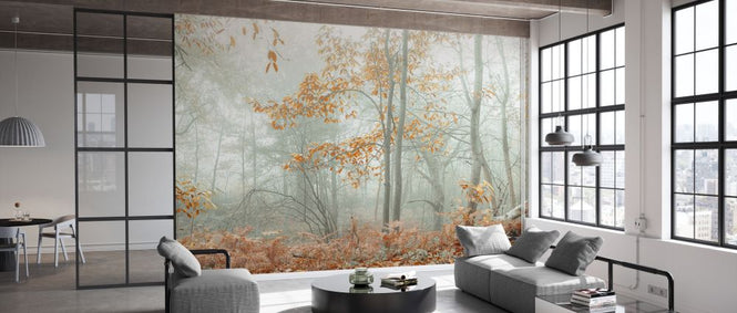 PHOTOWALL / Autumn Trees in the Mist (e333960)