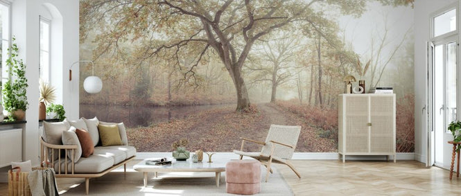 PHOTOWALL / Misty Forest II (e333962)
