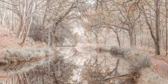 PHOTOWALL / Canal through Forest (e333964)