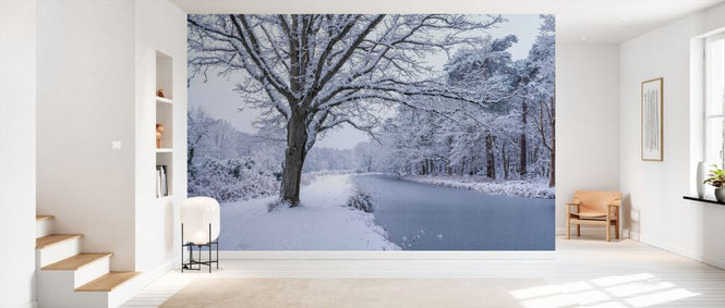 PHOTOWALL / Canal on a Snowy Day (e333985)