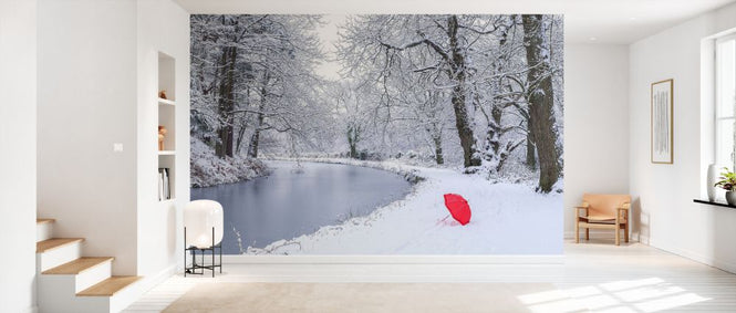 PHOTOWALL / Umbrella by a Snowy Canal (e333988)