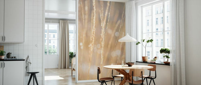 PHOTOWALL / Reeds III (e333997)