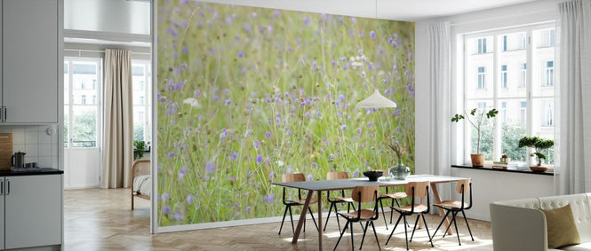 PHOTOWALL / Meadow Flowers II (e333957)