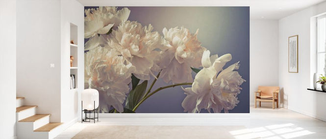 PHOTOWALL / Peonies II (e334010)