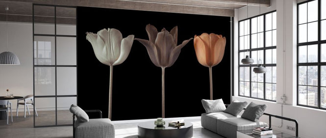 PHOTOWALL / Three Tulips IV (e334014)