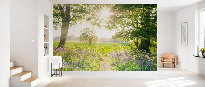 PHOTOWALL / Pathway in a Sunny Bluebell Forest (e334015)