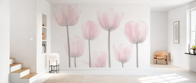 PHOTOWALL / Tulips (e334016)