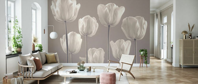 PHOTOWALL / Tulips II (e334017)