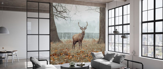 PHOTOWALL / Stag in the Forest II (e334079)