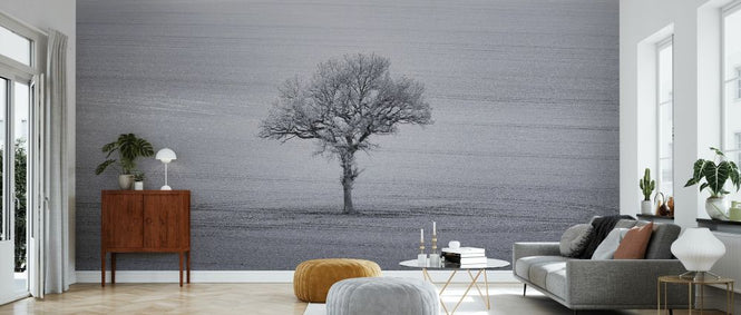 PHOTOWALL / Lone Tree (e334082)
