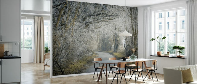 PHOTOWALL / Frosted Road Through Forest (e334085)