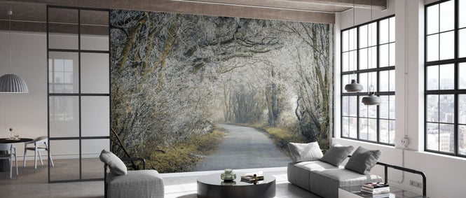 PHOTOWALL / Frosted Road Through Forest (e334085)