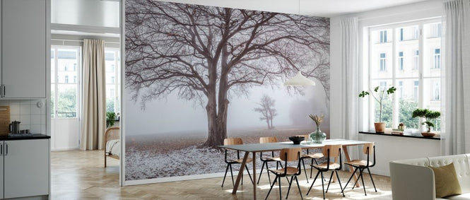 PHOTOWALL / Misty Tree (e334088)
