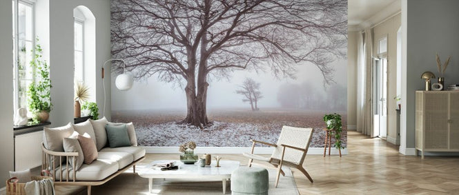 PHOTOWALL / Misty Tree (e334088)