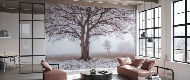 PHOTOWALL / Misty Tree (e334088)