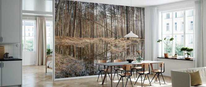 PHOTOWALL / Forest Reflections (e334092)