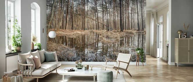PHOTOWALL / Forest Reflections (e334092)