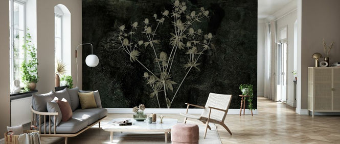 PHOTOWALL / Sea Holly (e334403)